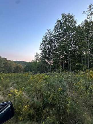 50 Acres of Recreational Land for Sale in Lockwood, New York