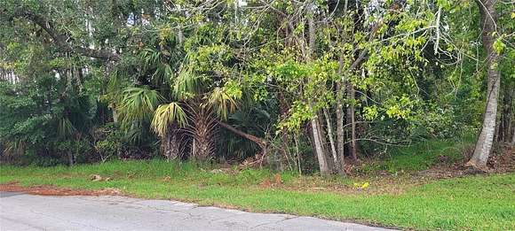 0.31 Acres of Residential Land for Sale in Palm Coast, Florida