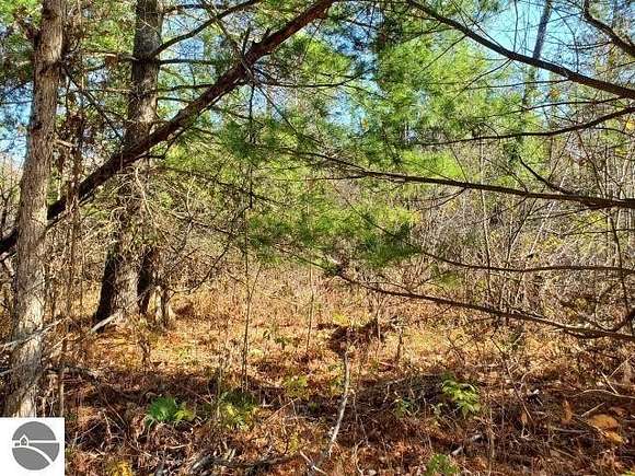 20 Acres of Recreational Land for Sale in Omer, Michigan