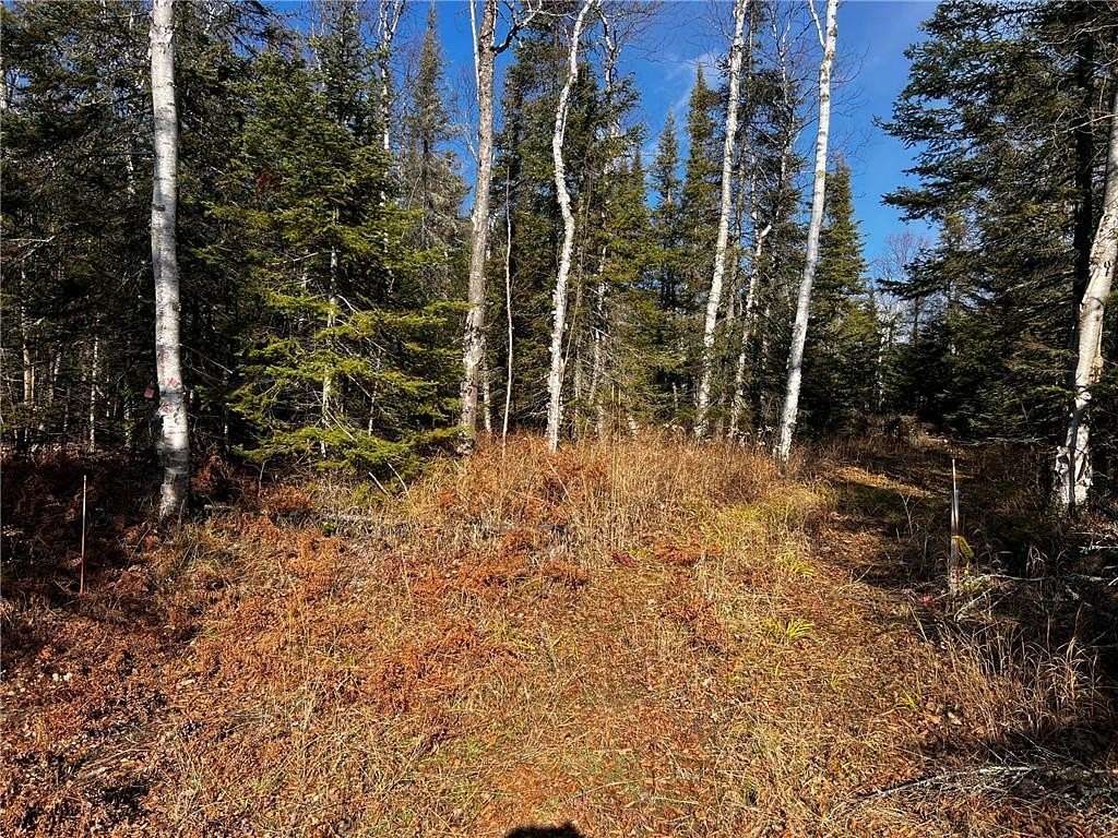 10 Acres of Land for Sale in Two Harbors, Minnesota