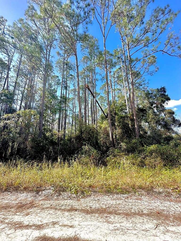 5 Acres of Residential Land for Sale in Old Town, Florida