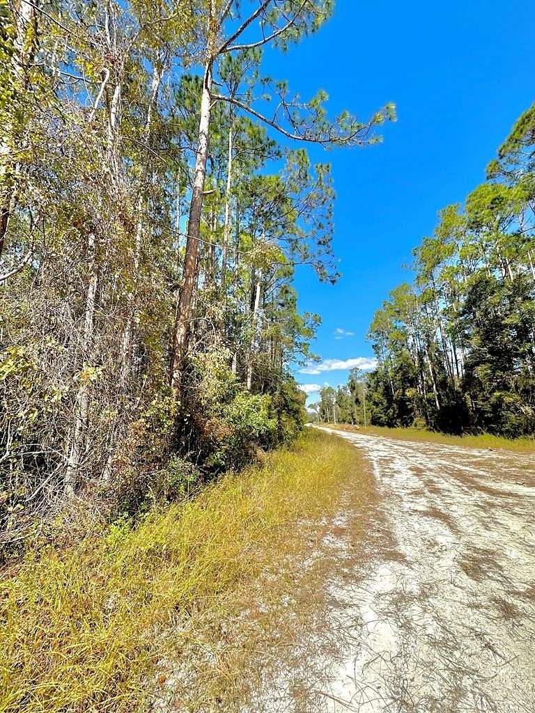 5 Acres of Residential Land for Sale in Old Town, Florida