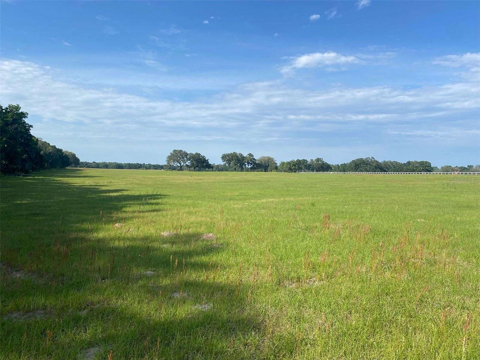 18.55 Acres of Land for Sale in Morriston, Florida