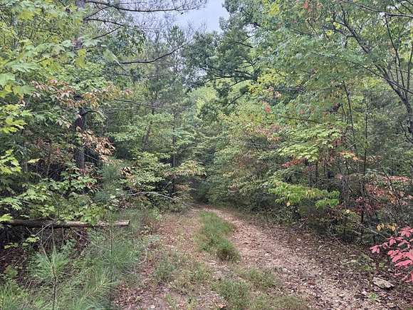 2.54 Acres of Residential Land for Sale in Smithville, Tennessee