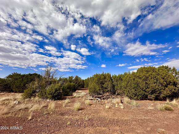 1.15 Acres of Residential Land for Sale in Concho, Arizona