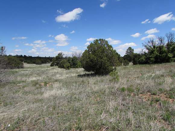 1.45 Acres of Residential Land for Sale in Elephant Butte, New Mexico