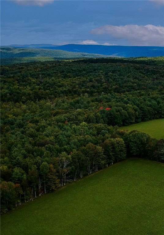 16.06 Acres of Recreational Land & Farm for Sale in Blenheim Town, New York