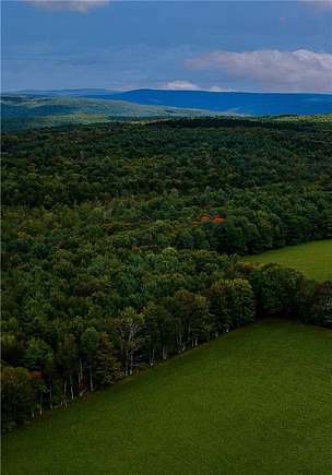 16.06 Acres of Recreational Land & Farm for Sale in Blenheim Town, New York