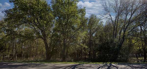 0.31 Acres of Residential Land for Sale in Lancaster, Texas