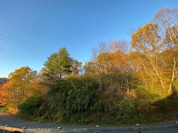 15 Acres of Land for Sale in Haysi, Virginia