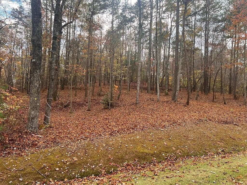 1 Acre of Residential Land for Sale in Ellijay, Georgia