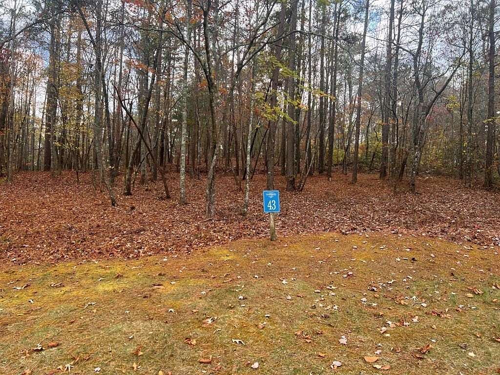 1 Acre of Residential Land for Sale in Ellijay, Georgia