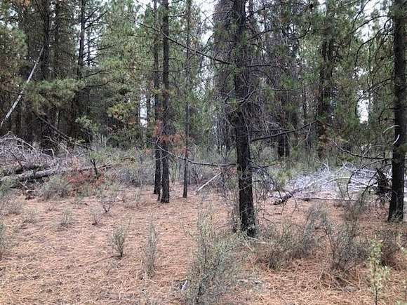 1 Acre of Residential Land for Sale in Chiloquin, Oregon