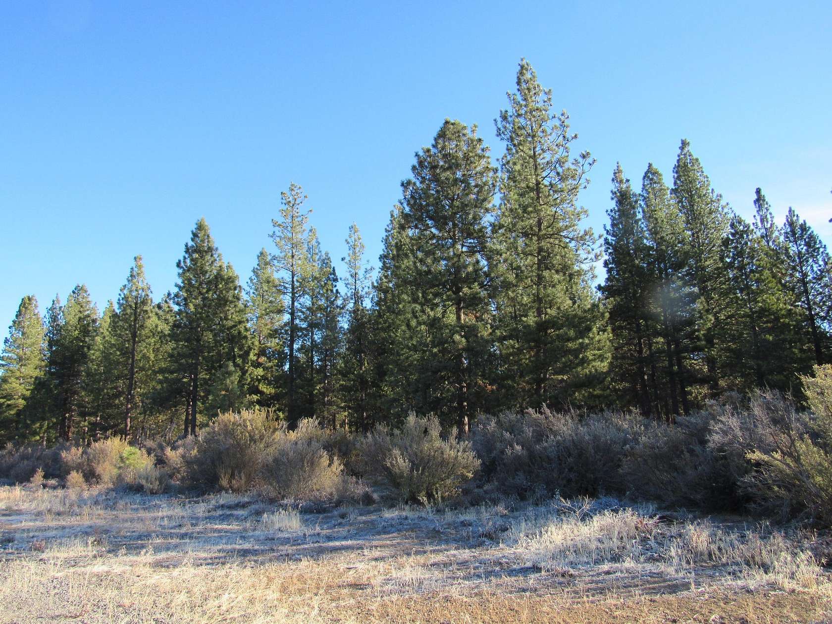 20.12 Acres of Commercial Land for Sale in Chiloquin, Oregon