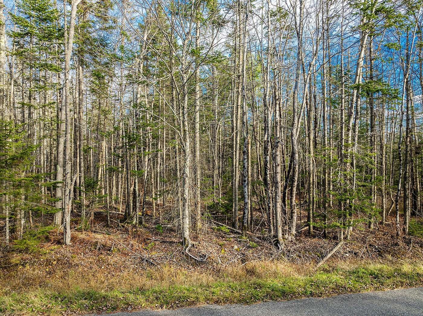 2.79 Acres of Residential Land for Sale in Searsport, Maine