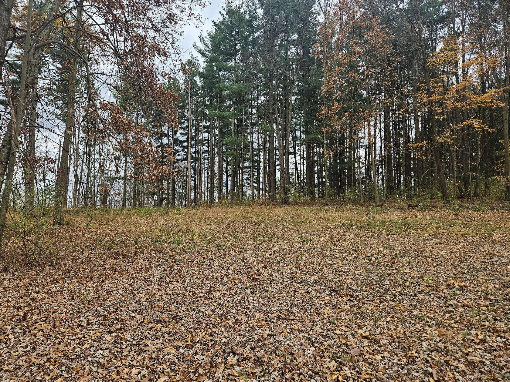 5.1 Acres of Land for Sale in Gregory, Michigan