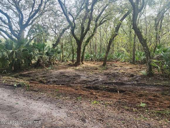 1.01 Acres of Residential Land for Sale in Cocoa, Florida