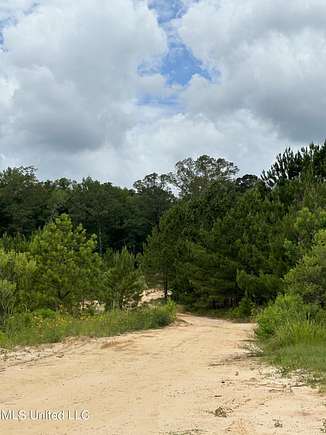 19 Acres of Land for Sale in Florence, Mississippi