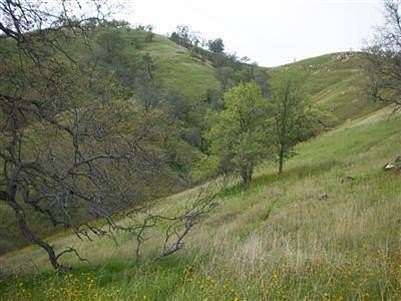 0.66 Acres of Residential Land for Sale in Friant, California