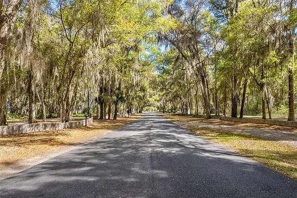 0.55 Acres of Residential Land for Sale in Darien, Georgia