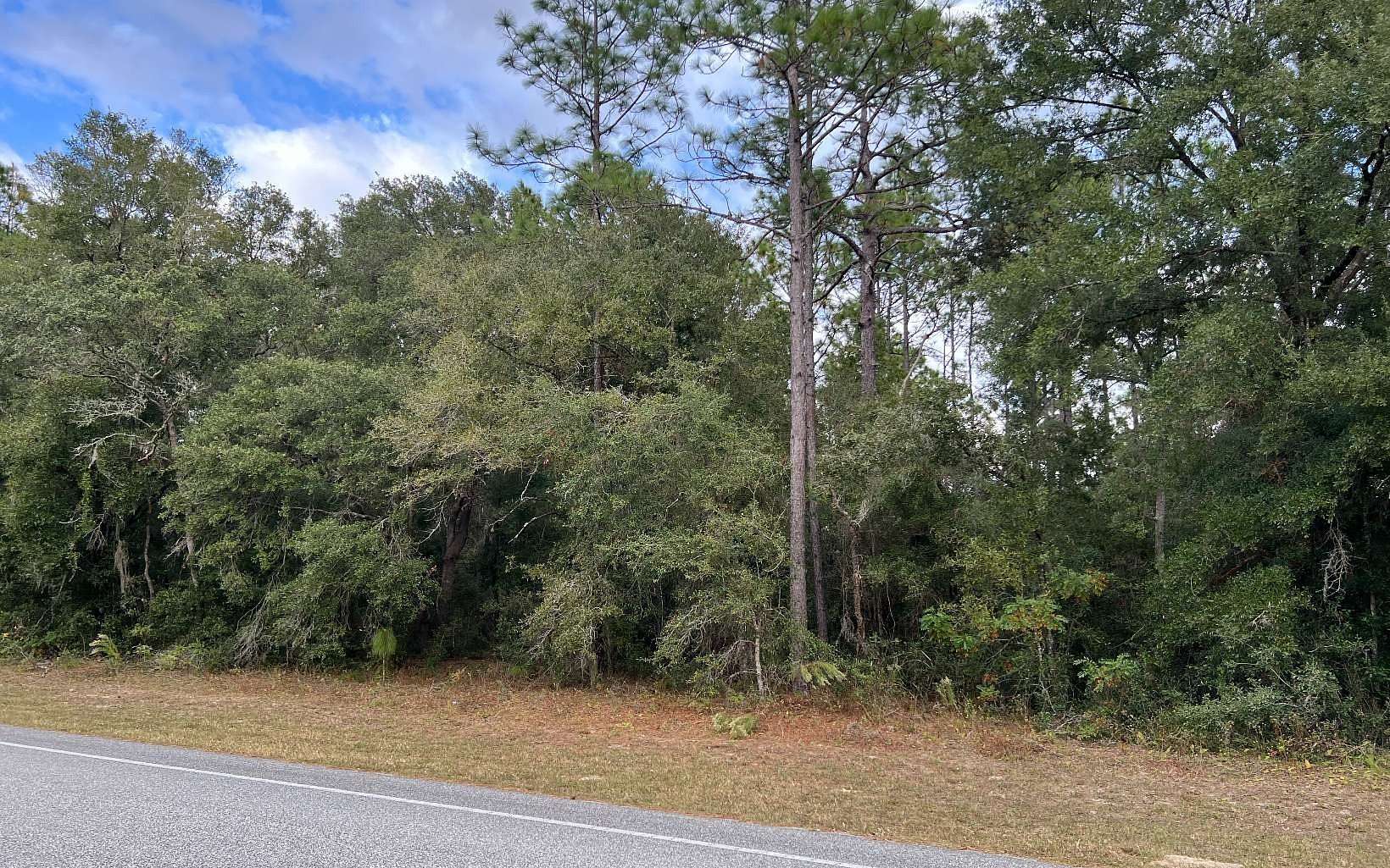 1.25 Acres of Residential Land for Sale in Citrus Springs, Florida