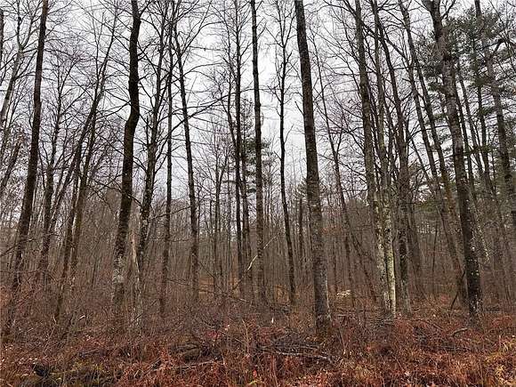 4.5 Acres of Residential Land for Sale in Hayward, Wisconsin