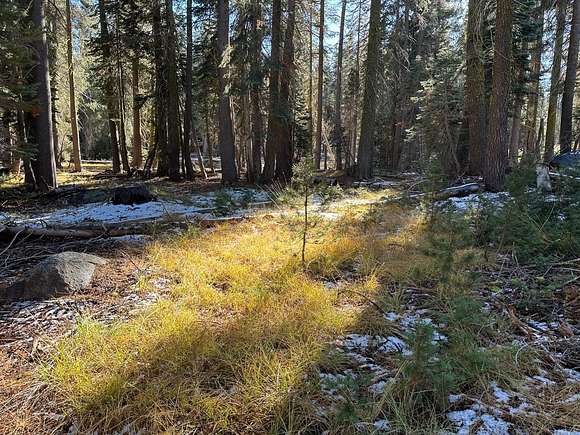 10.4 Acres of Recreational Land for Sale in Tamarack, California