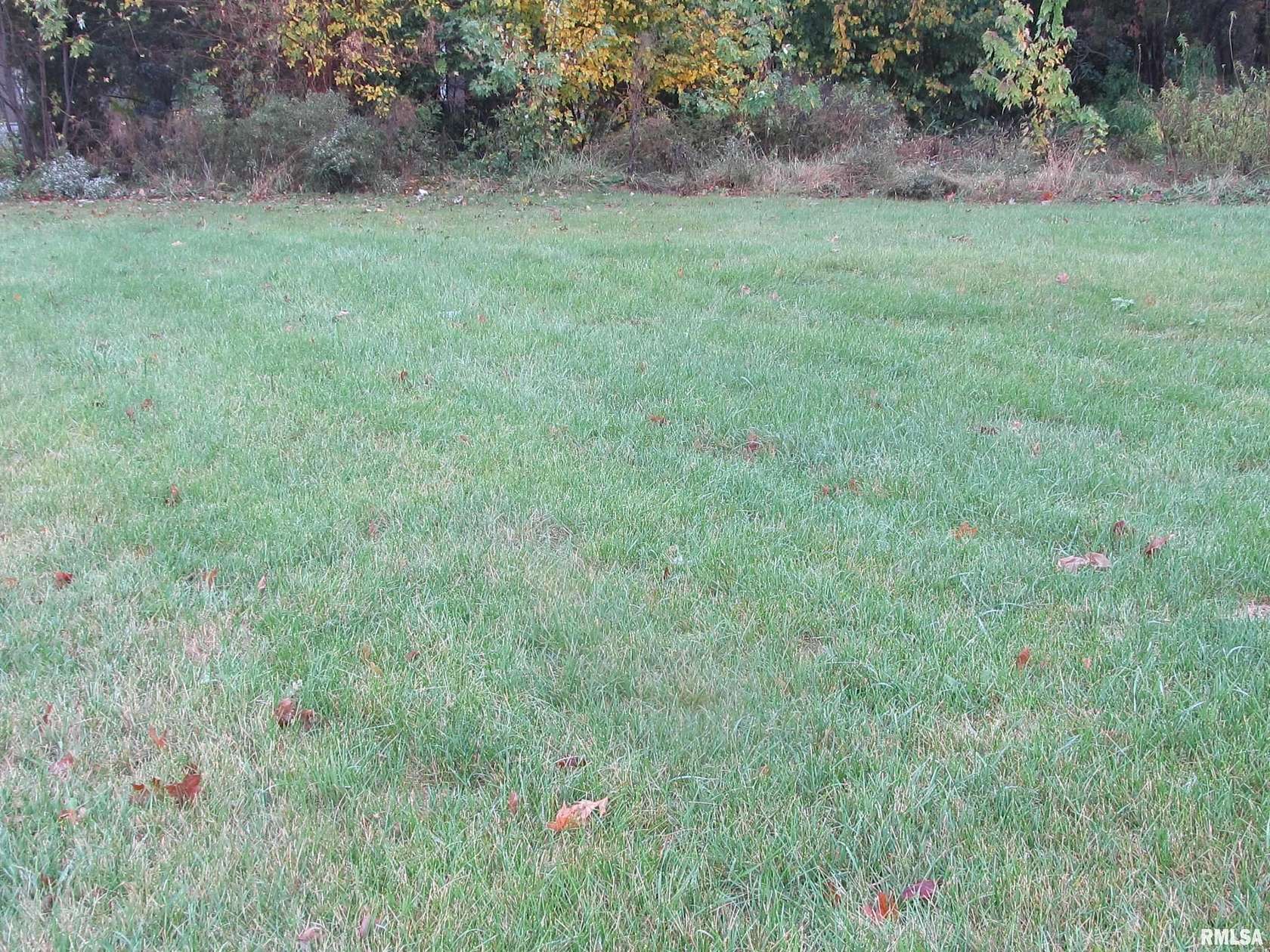 0.1 Acres of Residential Land for Sale in Rock Island, Illinois