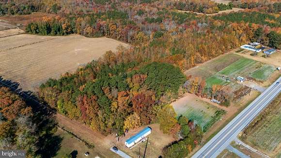 8 Acres of Land for Sale in Whaleyville, Maryland