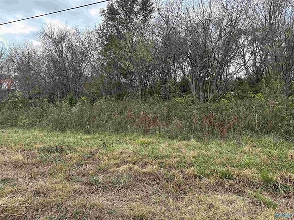 2.44 Acres of Commercial Land for Sale in Ider, Alabama