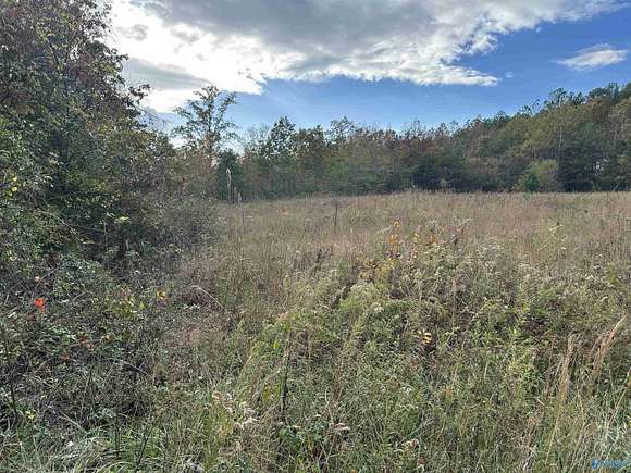 2.5 Acres of Residential Land for Sale in Flat Rock, Alabama