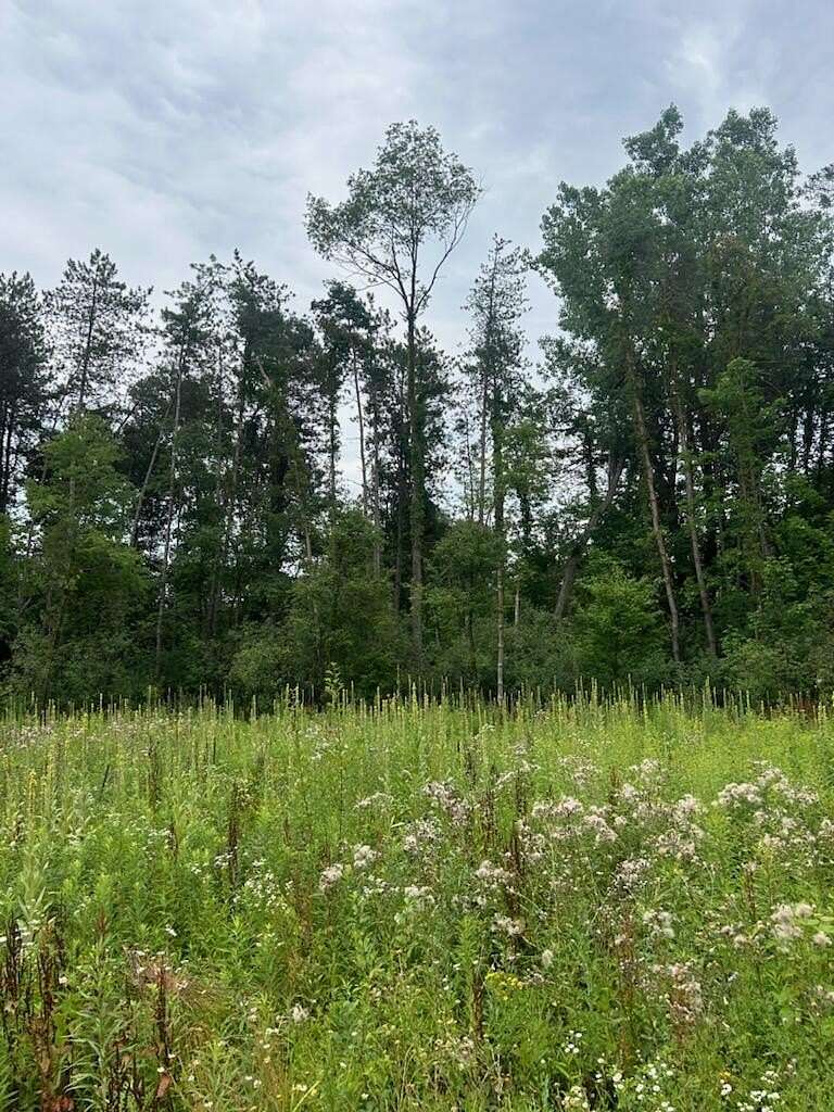 2.78 Acres of Residential Land for Sale in Alto, Michigan