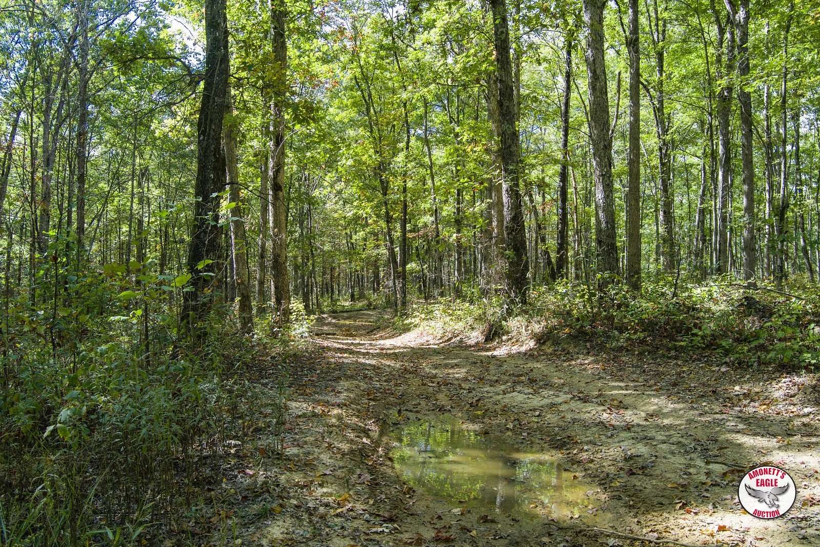 493 Acres of Recreational Land for Auction in Albany, Kentucky