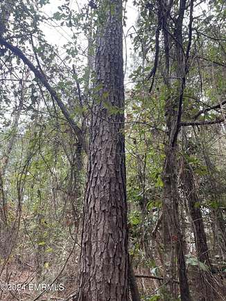 317 Acres of Recreational Land for Sale in Quitman, Mississippi