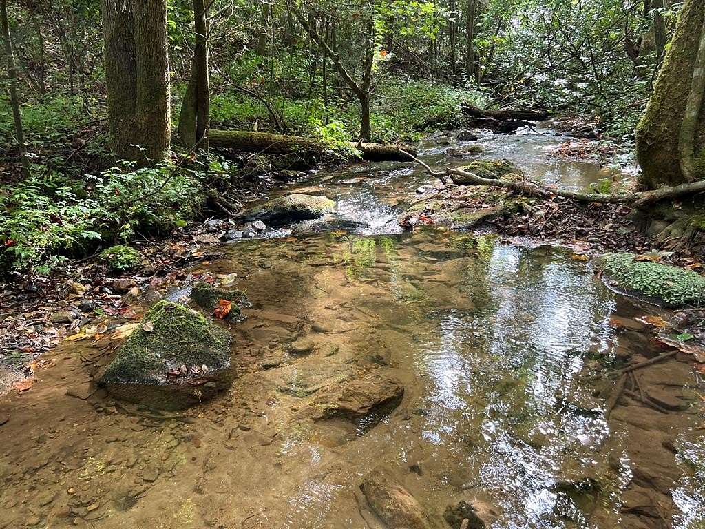 125.3 Acres of Recreational Land for Sale in Ellijay, Georgia