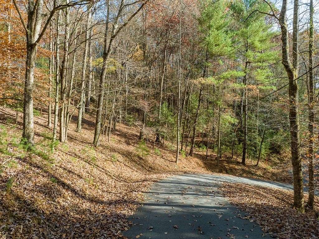 0.99 Acres of Residential Land for Sale in Ellijay, Georgia