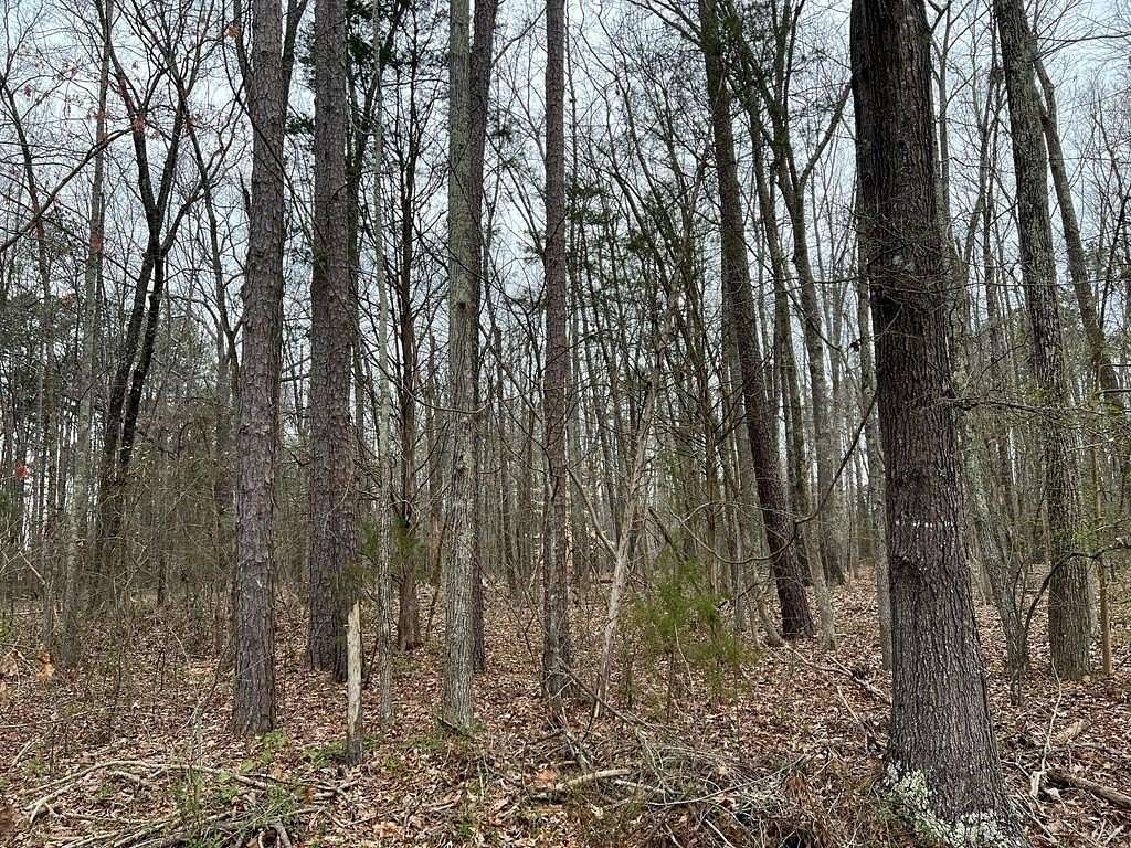 Land for Sale in South Boston, Virginia