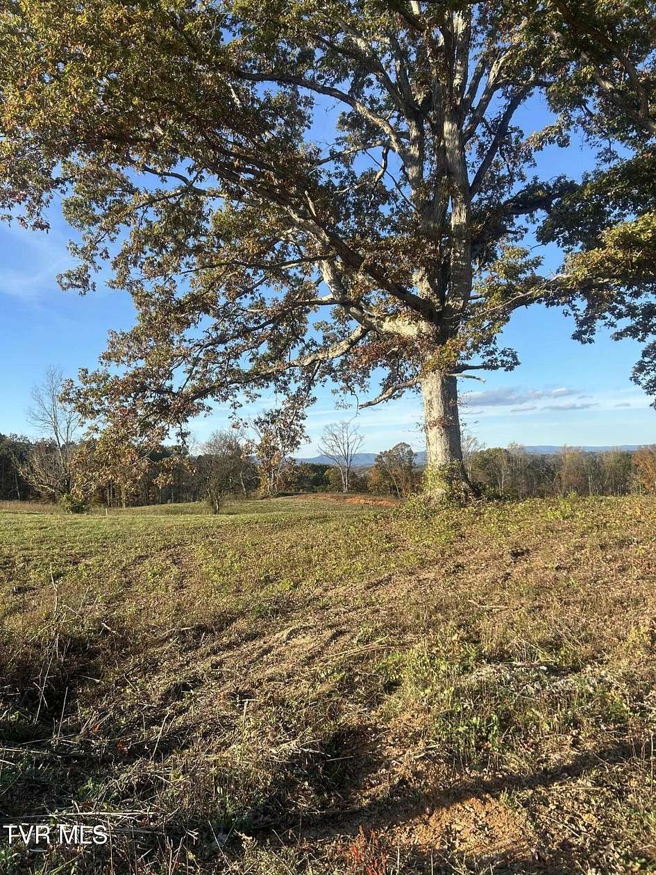 0.93 Acres of Residential Land for Sale in Strawberry Plains, Tennessee