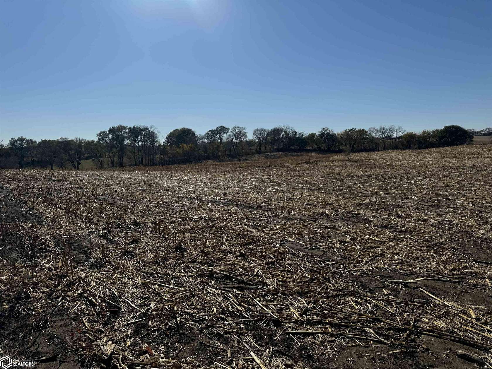 Land for Sale in Sidney, Iowa