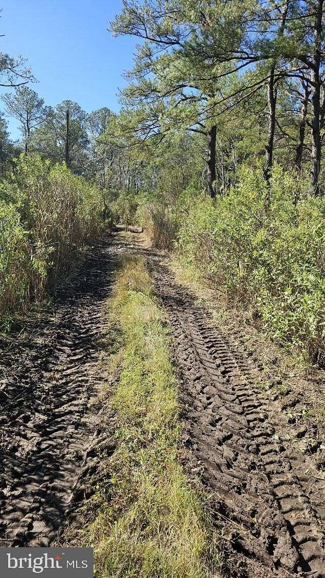 0.5 Acres of Land for Sale in Crisfield, Maryland