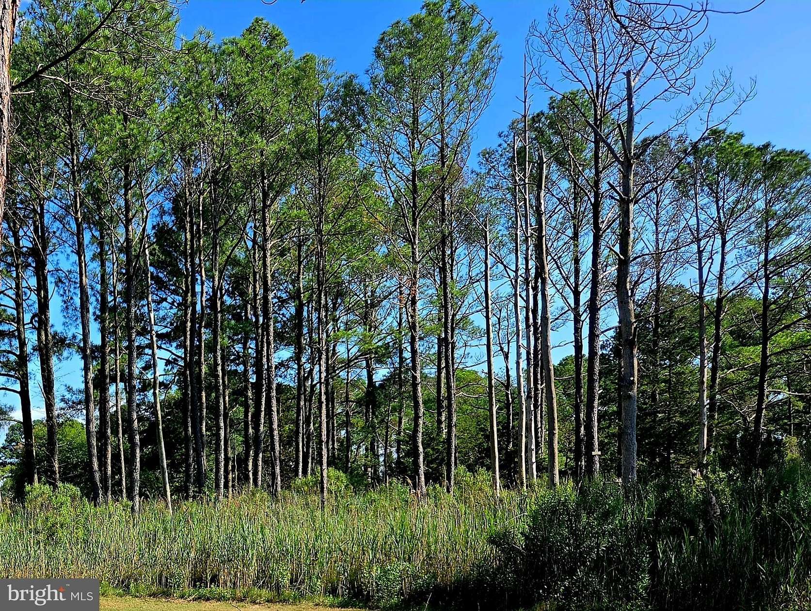 0.5 Acres of Land for Sale in Crisfield, Maryland