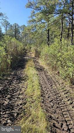 0.5 Acres of Land for Sale in Crisfield, Maryland