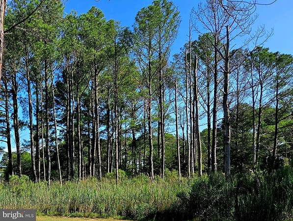 0.5 Acres of Land for Sale in Crisfield, Maryland