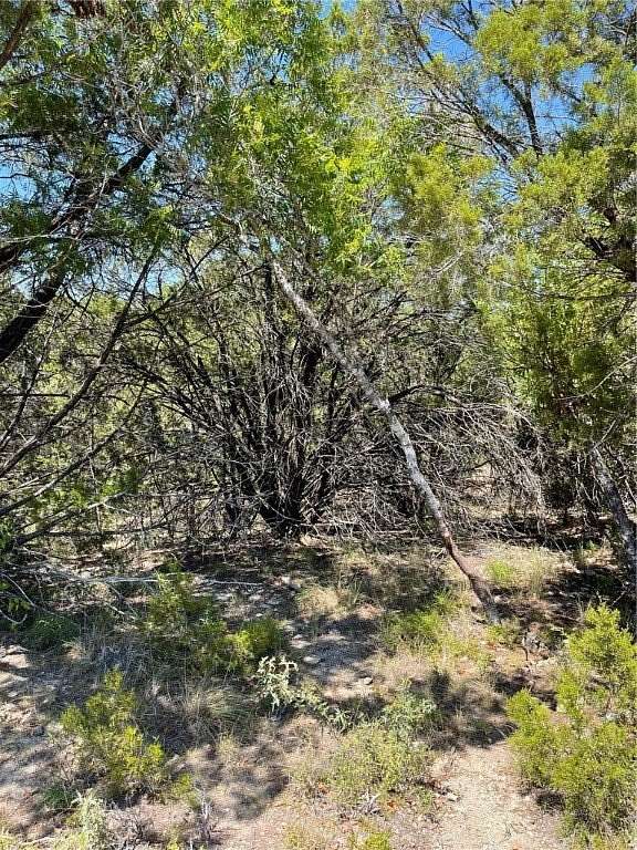 0.258 Acres of Residential Land for Sale in Canyon Lake, Texas