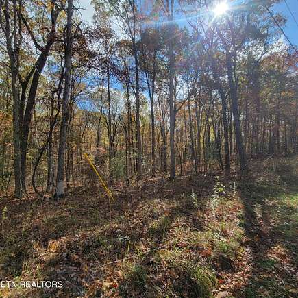 6.6 Acres of Land for Sale in Spring City, Tennessee