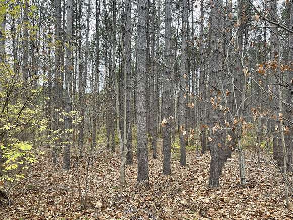 6.04 Acres of Residential Land for Sale in Woolwich, Maine