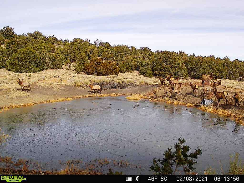 114.9 Acres of Recreational Land for Sale in Quemado, New Mexico