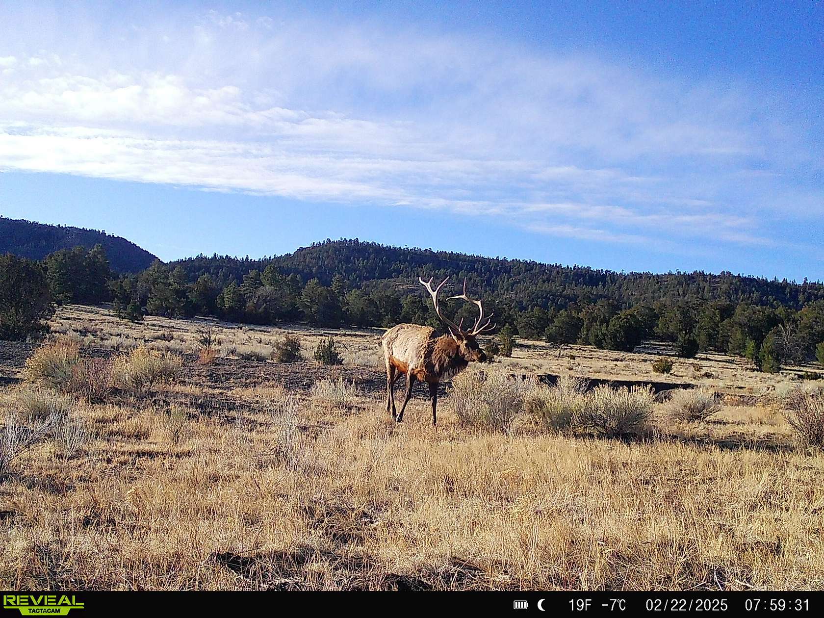 115 Acres of Recreational Land for Sale in Quemado, New Mexico