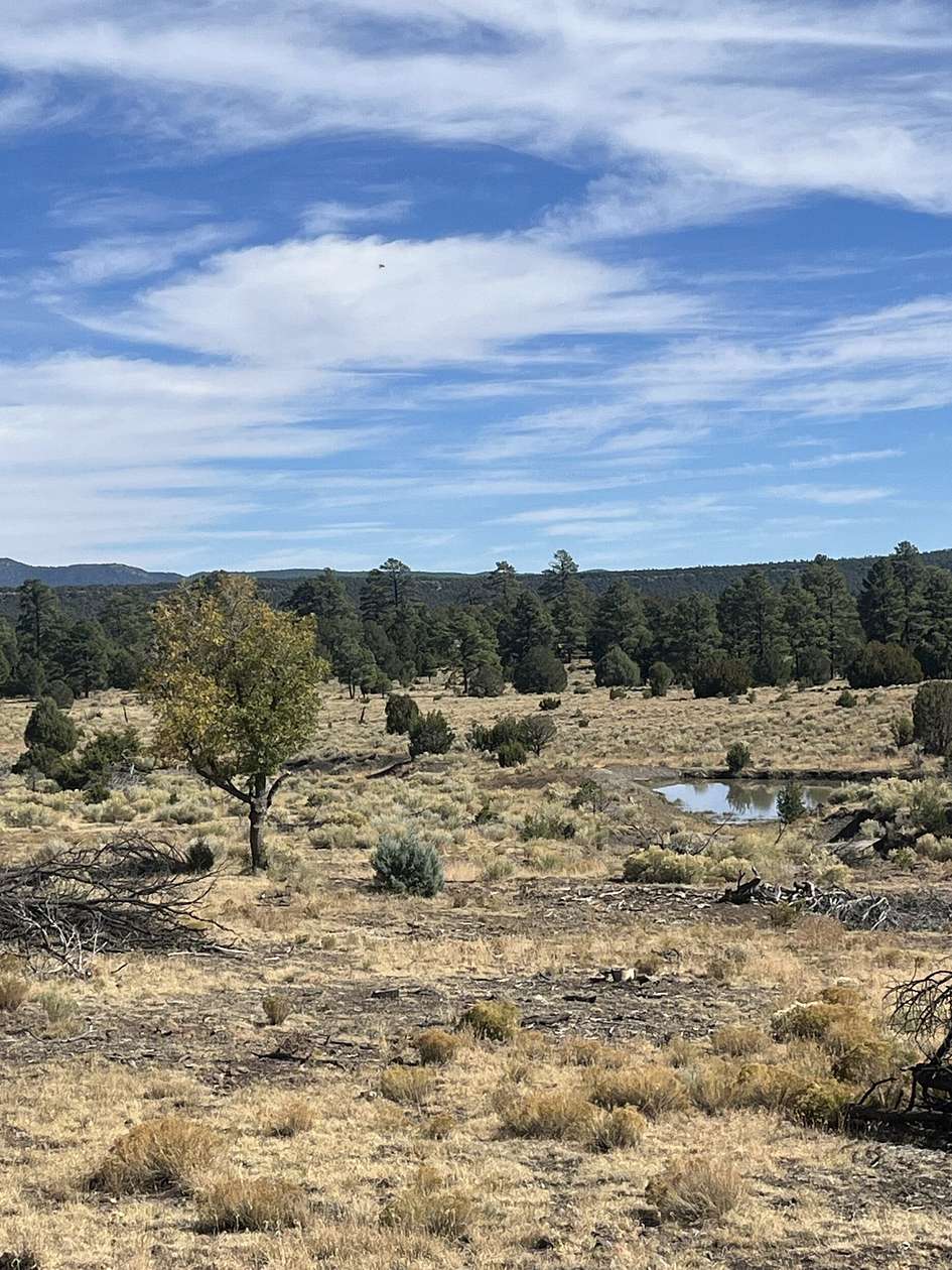 114.9 Acres of Recreational Land for Sale in Quemado, New Mexico