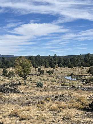 114.9 Acres of Recreational Land for Sale in Silver City, New Mexico